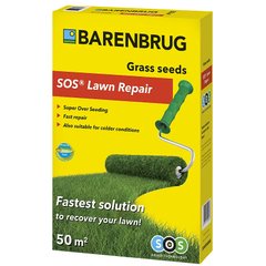 Газонная трава быстрый ремонт Barenbrug SOS (Нидерланды, 5 кг)
