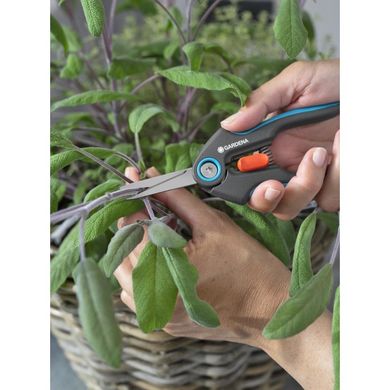 Ножницы для трав и цветов Gardena FreshCut Set