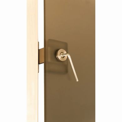 Дверь для бани и сауны Tesli Lux RS 1900 x 800