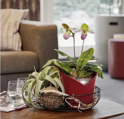 Умный вазон с автополивом Lechuza ORCHIDEA серый матовый